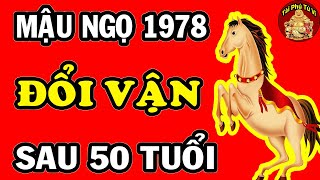 Tử Vi Trọn Đời Tuổi Mậu Ngọ 1978 Số Mệnh Về Già Mới Giàu Có An Nhàn Sau 50 Tuổi