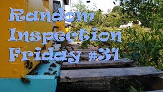 Checking For A Virgin Queen - RIF #31