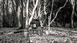 Grasscut - Curlews [Filming Time-lapse]