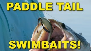 Paddle Tail Swimbaits | Bass Fishing