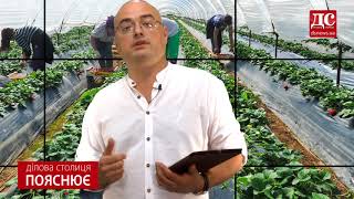 ДС ревю / Как Украине заработать валюту и не потерять трудовой ресурс работников