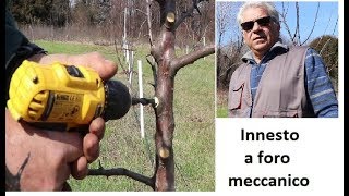Innesto a foro meccanico