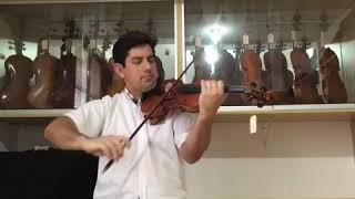 Violino STAINER Alemão Copy-Oliveira Musical