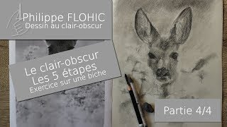 Les 5 étapes du clair-obscur, exercice pratique, la biche dans la prairie - vidéo 4/4