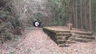 【廃線探訪記～ここに線路があった～】第6回「豊橋鉄道田口線本長篠～三河田口」