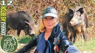 В окружении кабанов Приключения по дороге домой⯇12⯈ Хижина из веток