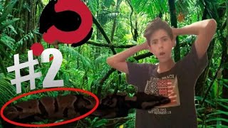 Pitone Reale mangia topo VIVO (5 video EP. 2)