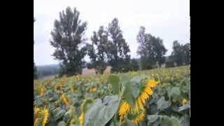 Мечта агроном-микроэлементный комплекс Аватар-1 http://avatar-agro.com