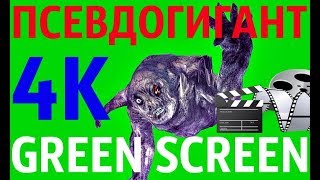 ФУТАЖ - "GREEN SCREEN" KICK ПСЕВДОГИГАНТ (С.Т.А.Л.К.Е.Р.)