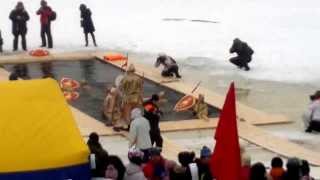 Моржи Жесть