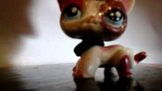 Флэшмоб для LPS Cat Princess