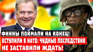 Финны поймали на конец! Вступили в НАТО: чудные последствия не заставили ждать!