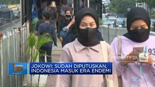 Jokowi: Sudah Diputuskan,Indonesia Masuk Era Endemi