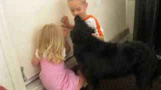 Ben Reese & Katie