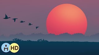 Tibetan Meditation: Healing, Sleep, Zen, Peace, Sleep Music, Yoga Music, Therapy for Relaxation ✤801