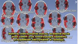 Pięć Praw Natury - Trzecia rewolucja w medycynie [PL] [FULL]
