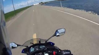 Delta River Levee ride