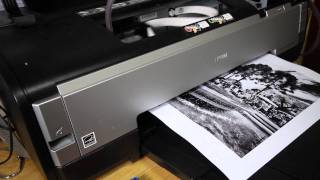 Impressao PB epson 1410