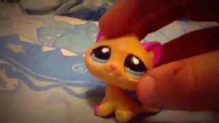Моя коллекция lps кошек