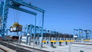 APM Terminals MVII