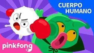 Sistema Inmunológico | Cuerpo Humano | Pinkfong Canciones Infantiles