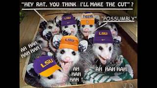 LSU - POSSUM - DR. JOHN - TAKE ME OUT TO THE BALL GAME