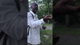 Dr Justice Divine:How to identify and use Burdock/Articium lappa