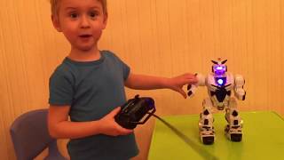 Распаковываем робота. Дикие бои с роботом. Wild battle. Robot Fighting Champion.