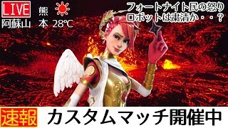 【フォートナイト顔出し配信】ソロカスタム参加型！ロボット禁止。メンバー更新！概要欄必須！【初見様歓迎】