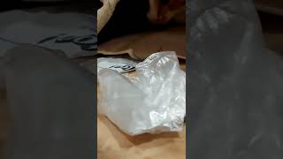 киска малышка играет в прятки я её нашёл. трехцветная редкий зверек кошка Мура девочка