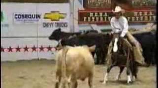 Western Riding-More than just a sport