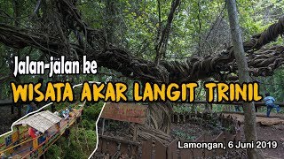 Jalan-jalan ke Wisata Akar Langit Trinil Lamongan