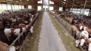 Customer story Sedlmair, Germany. “A growing family was the main reason for doubling the herd.”, wit