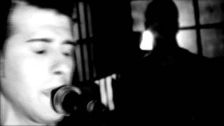 The Marigold - Myself (HD)