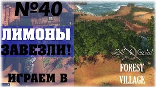 [Life is Feudal: Forest Village]__Лимоны завезли!___№40
