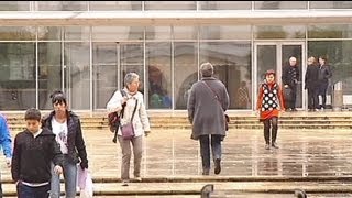 euronews science - Missile-like breast cancer treatment is on target