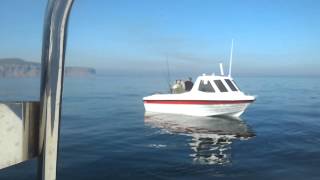 Sea fishing saltburn warrior 165 saltburn with friends