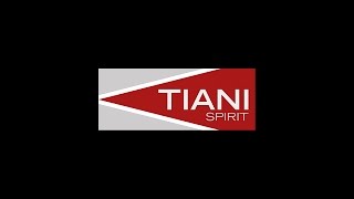 Tiani Spirit Connectathon Japan 2016