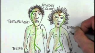 The Subject Is: Puberty (Trailer)