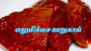 எலுமிச்சை ஊறுகாய் - Lemon Pickle