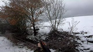 Triplé de sanglier dans la neige 2019/2020