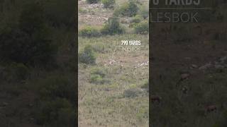 Dropped it!! My longest hunting shot with the .260 Remington #hunting #africa