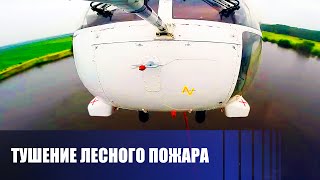 Как происходит тушение лесного пожара