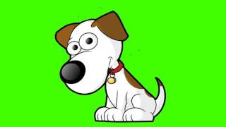 animated dog in green screen free royalty footage