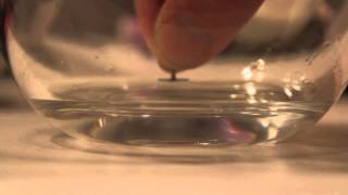Scheikunde Les: Punaise in water