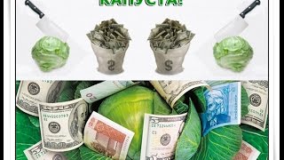 Как вернуть деньги с интернет-покупок!
