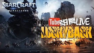 [럭키빽 02/13 Live] 양학으로 기분업 합니다 [스타,빨무,starcraft]