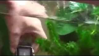 Spy waterproof  watch Cum mobile phone 92250223339212143410 Deals JAIPUR RAJA PARK ALL OVER INDIA  W
