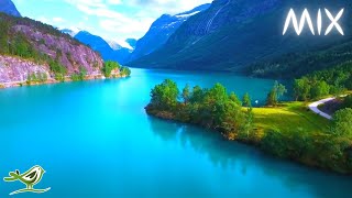 Beautiful Relaxing Music with No Loops - Stunning Nature & Calm Music