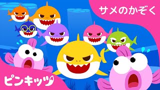 もっともっと サメのかぞく! | Baby Shark More And More | ベイビーシャーク | 子供の歌 | ピンキッツ！